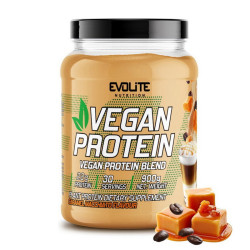 Evolite Nutrition Vegan Protein 900g