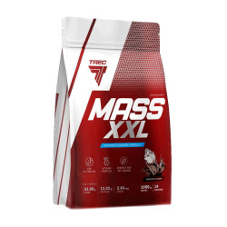 Solid Mass 1kg
