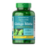 Ginkgo Biloba 120mg