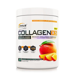 Collagen X5 360g