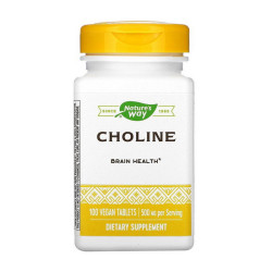 Nature's Way Choline 500mg