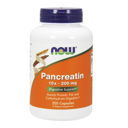NOW Pancreatin 2000
