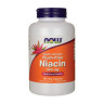 NOW Flush-Free Niacin 500mg Double Strength