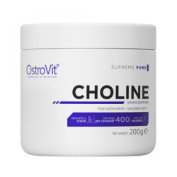 OstroVit Choline 200g