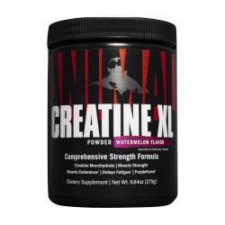 Universal Creatine XL 279g