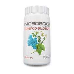 Ginkgo Biloba 120 caps